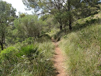 wandern wir recht einsam ...