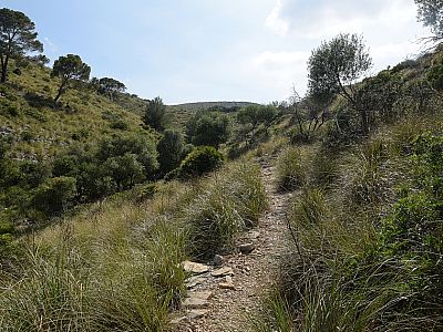 ... durch die Natur zum Sattel Coll de na Benet