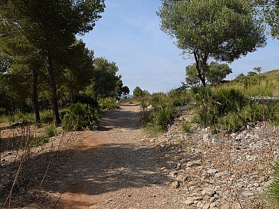 Der Weg wird wieder breiter