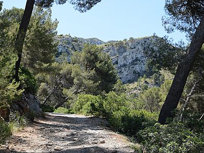 Der breite Weg führt uns weiter nach Osten