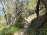 Dort halten wir uns rechts und steigen zum Platja des Coll Baix ab