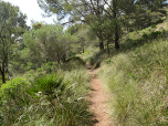 wandern wir recht einsam ...