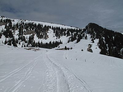 Wir halten auf die Obere Schönfeldalm zu
