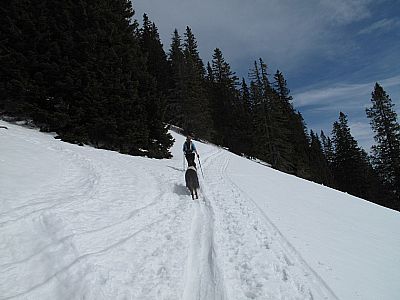 Nun geht es flach dahin...