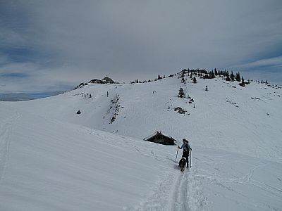 ...bis zur Schnittlauchmoosalm