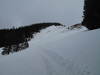 Über mäßig steile Hänge...