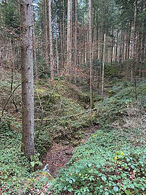 Nach einem Bachgraben...