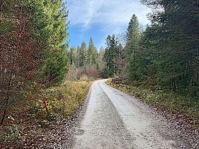 ...nimmt die Steigung des Weges zu