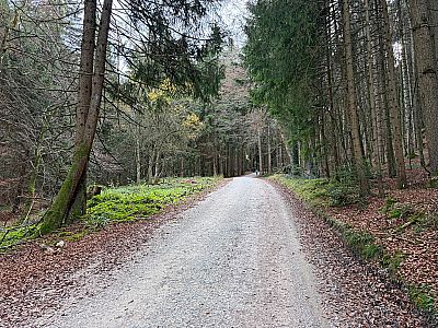 ...weiter in südöstlicher Richtung bergauf