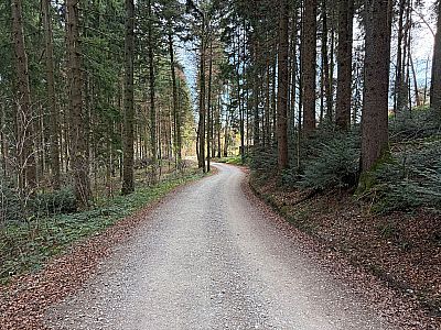 Wir verlieren ein paar Höhenmeter...