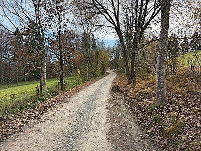 ...und treten aus dem dichten Wald hinaus