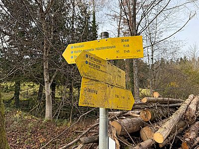 An der folgenden Verzweigung biegen wir rechts ab...