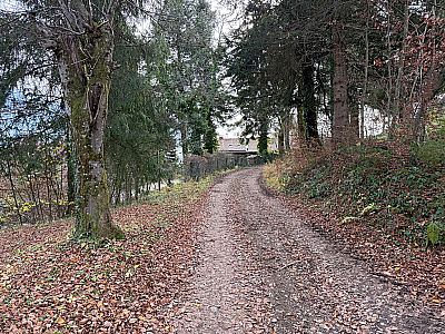 ...und folgen dem Karrenweg in einem Rechtsbogen...