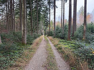 Auf dem nun flachen Weg...