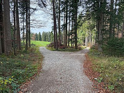 ...erreichen wir eine Weggabelung