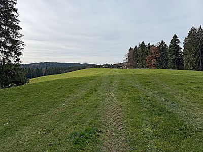 Über einen Wiesenrücken spazieren wir auf Neustadl zu
