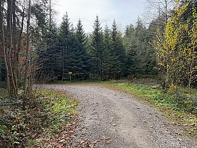 In einer Linkskurve biegen wir rechts ab