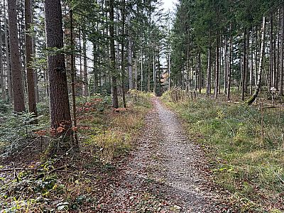 ...gewinnen wir die nächsten Höhenmeter