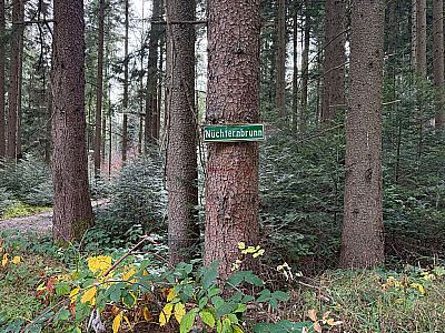 ...halten wir unsere Grundrichtung bei...