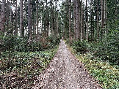 ...und wandern weiter südwestwärts