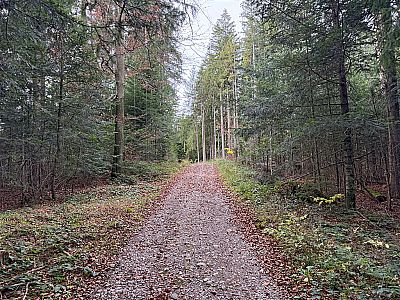 Nach einem Anstieg...