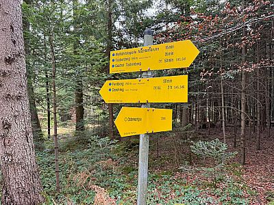 ...lassen wir den Abzweig nach Osterwarngau rechts liegen