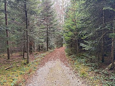 Dann biegen wir links ab...