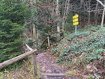 An der Kapelle schlagen wir den gestuften Weg ein, ...