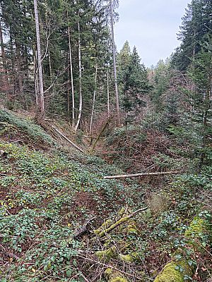 Über dem Farnbachtal queren wir einige Bachgräben