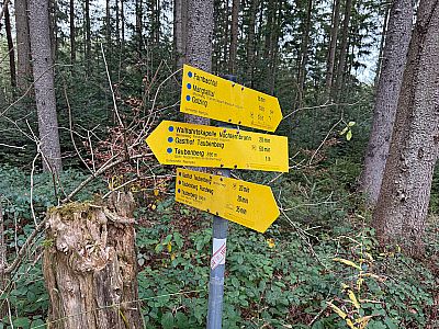 Am beschilderten Abzweig halten wir uns rechts...