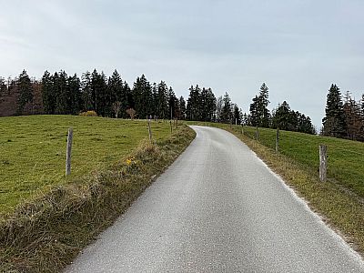 Wir folgen einem Teerweg bergauf...