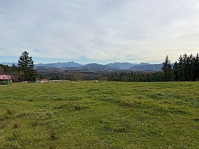 ...und blicken zu den Bayerischen Voralpen