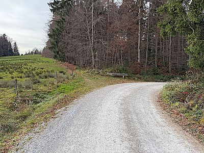 In einer Rechtskurve...