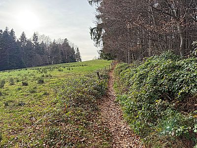 ...verlassen wir die breiten Piste linkshaltend