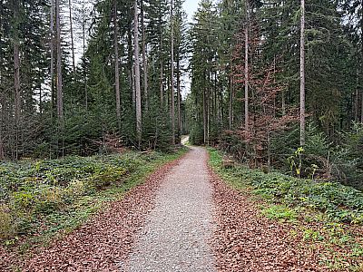 ...halten wir unsere Grundrichtung bei...