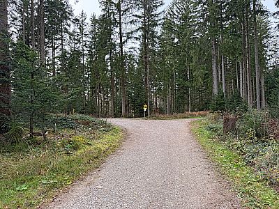 ...und treffen auf eine Weggabelung