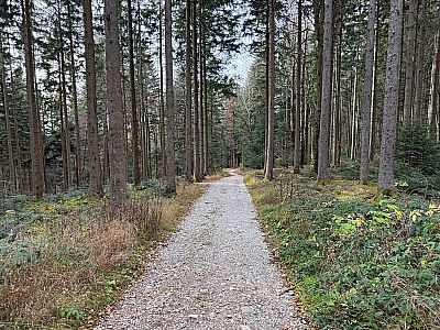 Nun halten wir uns links...