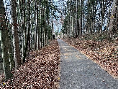 ...und wir treffen auf einen Teerweg