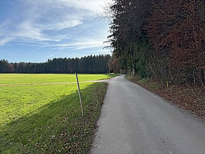 Später touchieren wir den Waldrand...