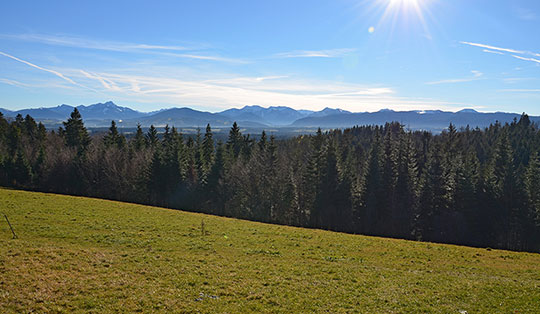 Taubenberg