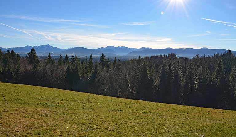Taubenberg (896 m)