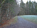In Osterwarngau spazieren wir zum Waldrand...