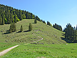 Wir steuern den Grashang südöstlich des Spitzingsattels an