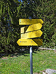 ...und erreichen eine Verzweigung