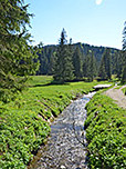 Kleiner Bachlauf im Lochgraben