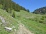 ...und wir wandern über die ehemalige Piste bergauf