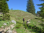 Wir lassen den Wald hinter uns...