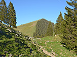 Blick zurück zum Rauhkopf