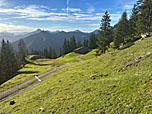 Blick zur Wildfeldalm