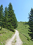 Schließlich verlassen wir den Wald...